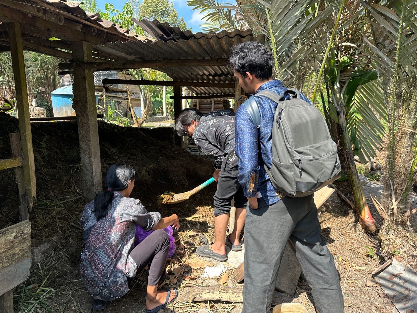 Lingkungan peternakan sapi perah